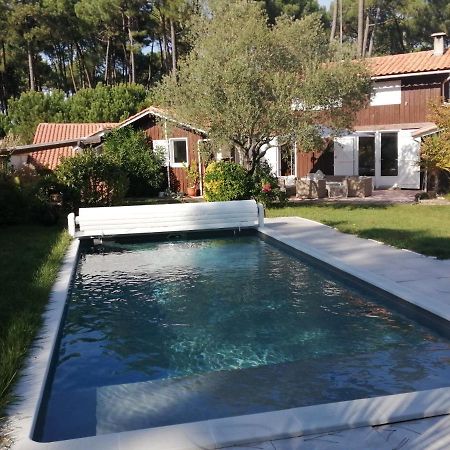Maison Familiale En Bois Avec Piscine, Proche Du Bassin Gujan-Mestras Exterior foto