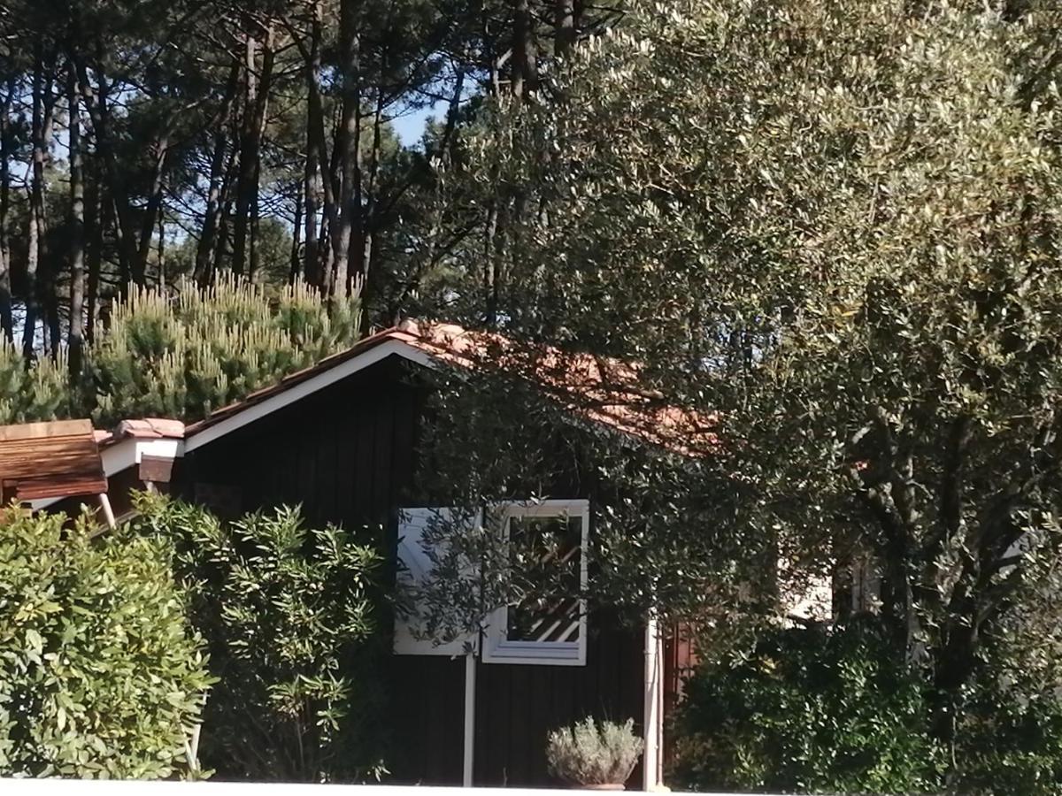 Maison Familiale En Bois Avec Piscine, Proche Du Bassin Gujan-Mestras Exterior foto
